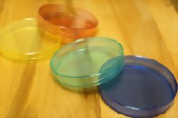 dsc07972-medium.jpg