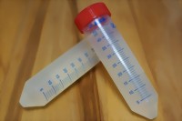 dsc07975-medium.jpg