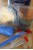 dsc07981-large-2.jpg